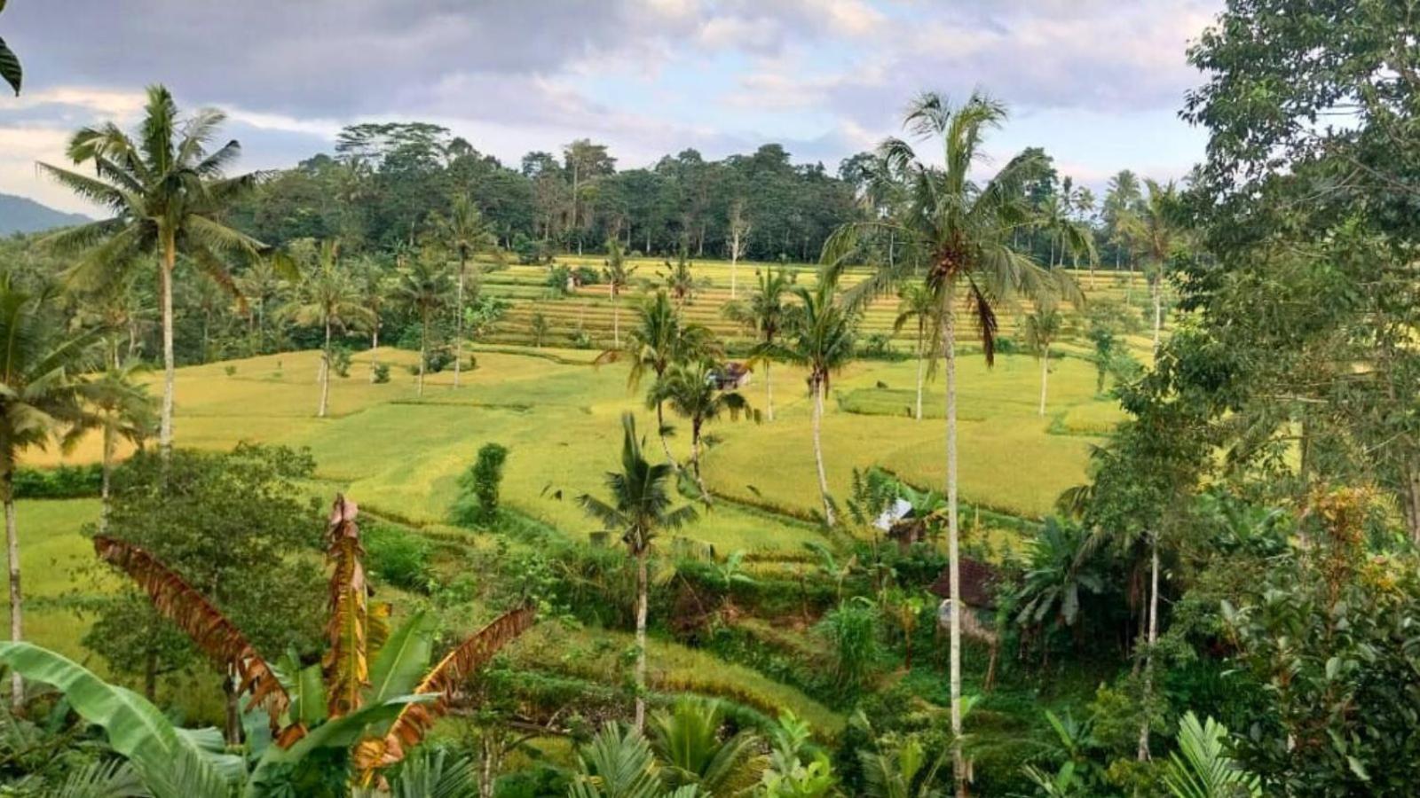 Pondok Sapta Sallaca Selat Zewnętrze zdjęcie